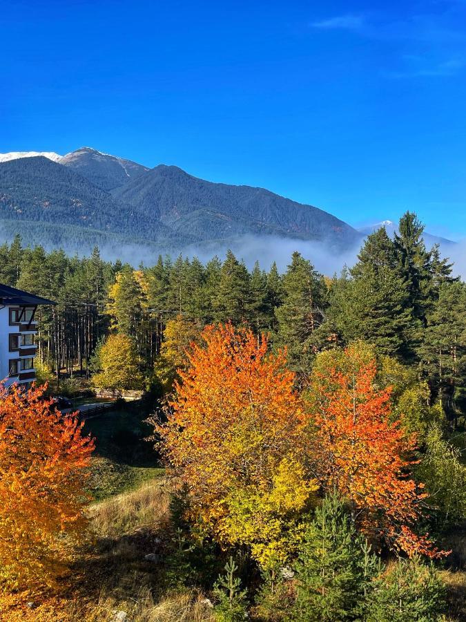 Park Hotel Panorama Bansko Exteriör bild